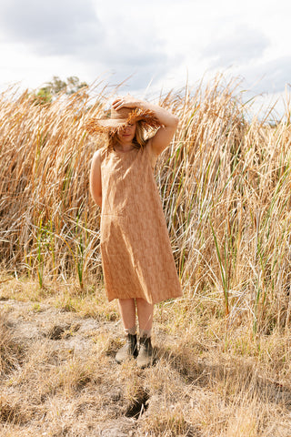 Anna dress - Brown stripes